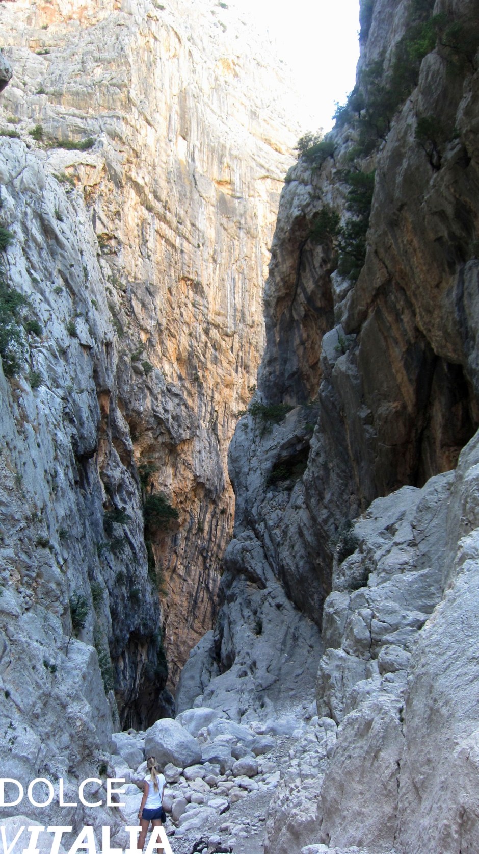 Gorropu canyon