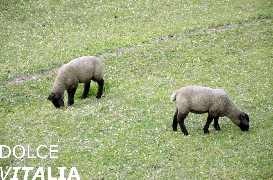 Antica Strada Valeriana, Iseo
