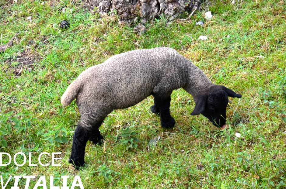 Antica Strada Valeriana, Iseo